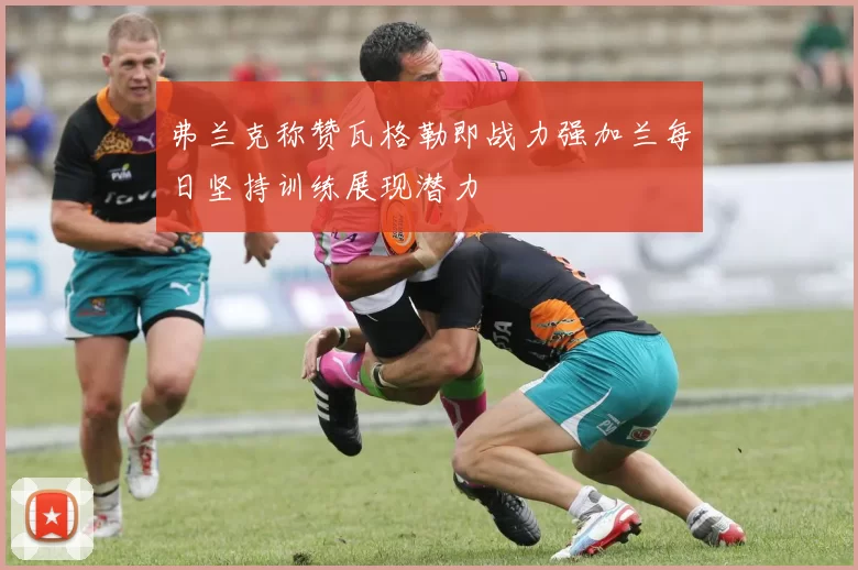 弗兰克称赞瓦格勒即战力强加兰每日坚持训练展现潜力