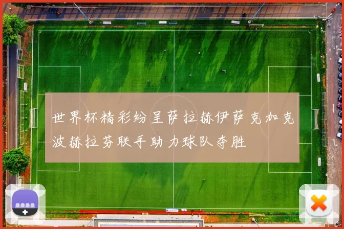 世界杯精彩纷呈萨拉赫伊萨克加克波赫拉芬联手助力球队夺胜